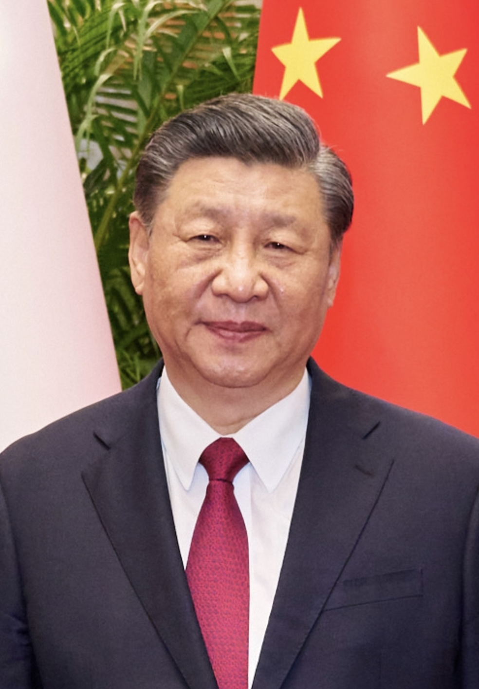 Xi’s House of Cards Collapses: $6 Trillion Wipeout Exposes Fragile Growth
