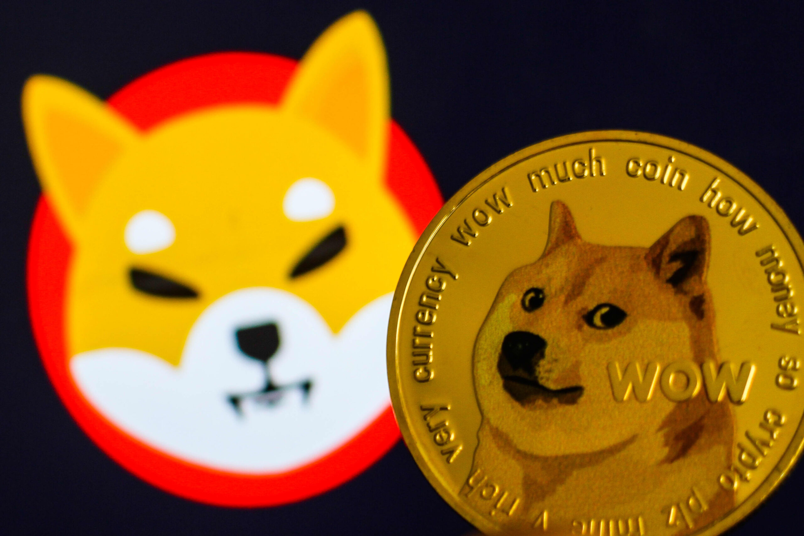 Who Moved a Trillion SHIB? Anonymous Whale Sends $28 Million to Gate.io, Market on High Alert!
