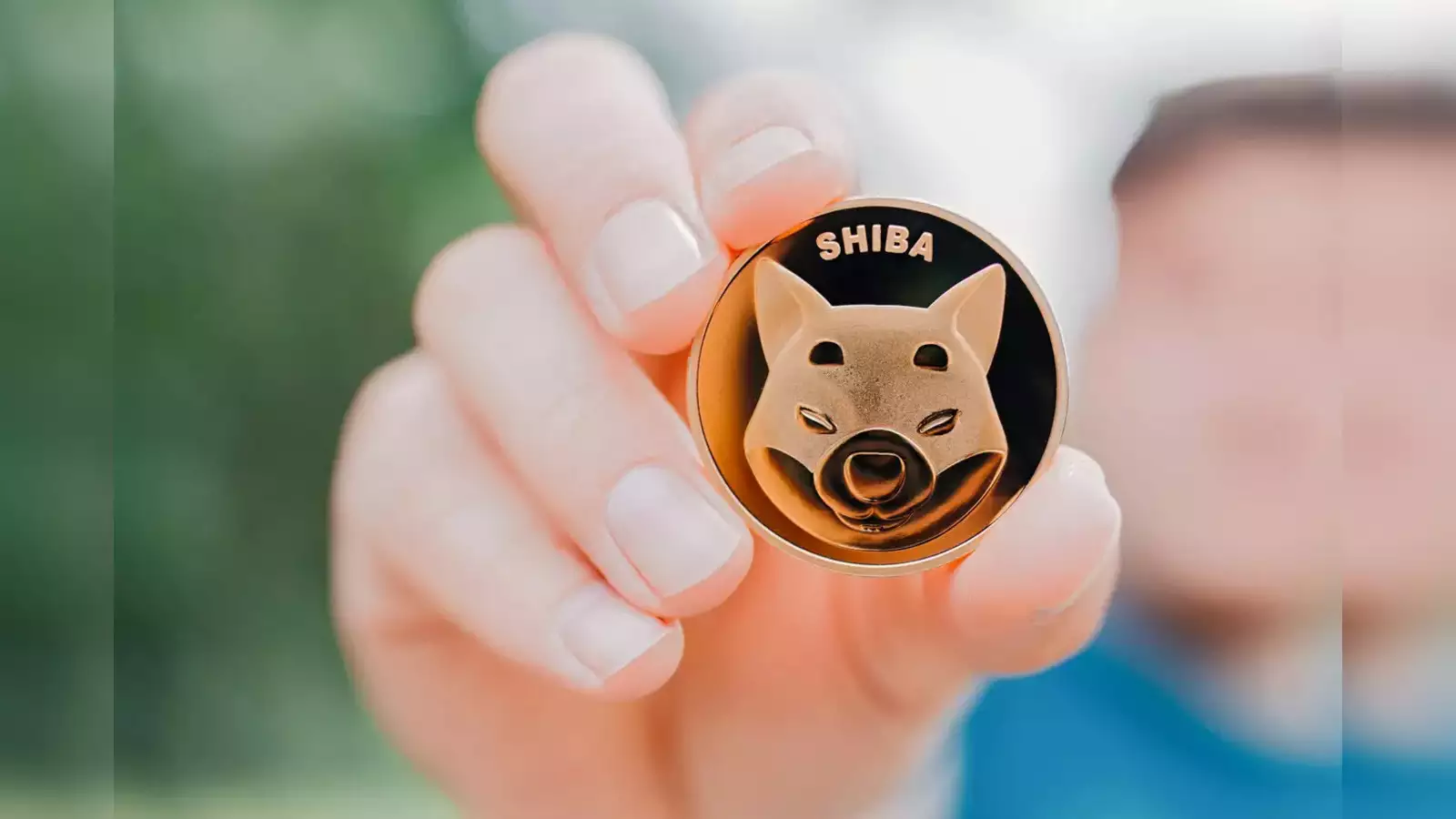 Woof! Shiba Inu Coin Crashes 11.56%, But is it Time to Buy the Dip or Run for the Hills?